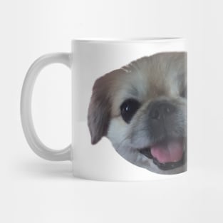 Lucy fur Real - pekingese dog Mug